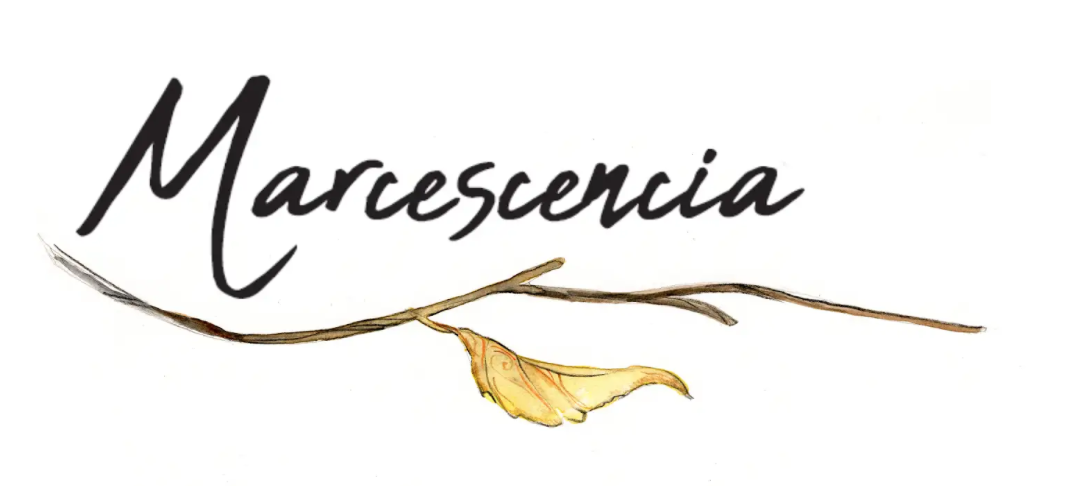 Marcescencia